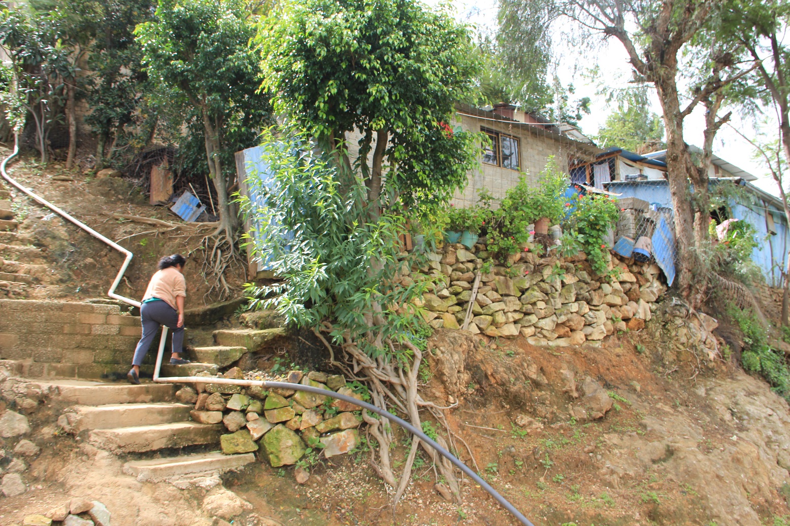 oaxaca-vivir-en-las-alturas-entre-la-pobreza-y-el-olvido-nvi-noticias