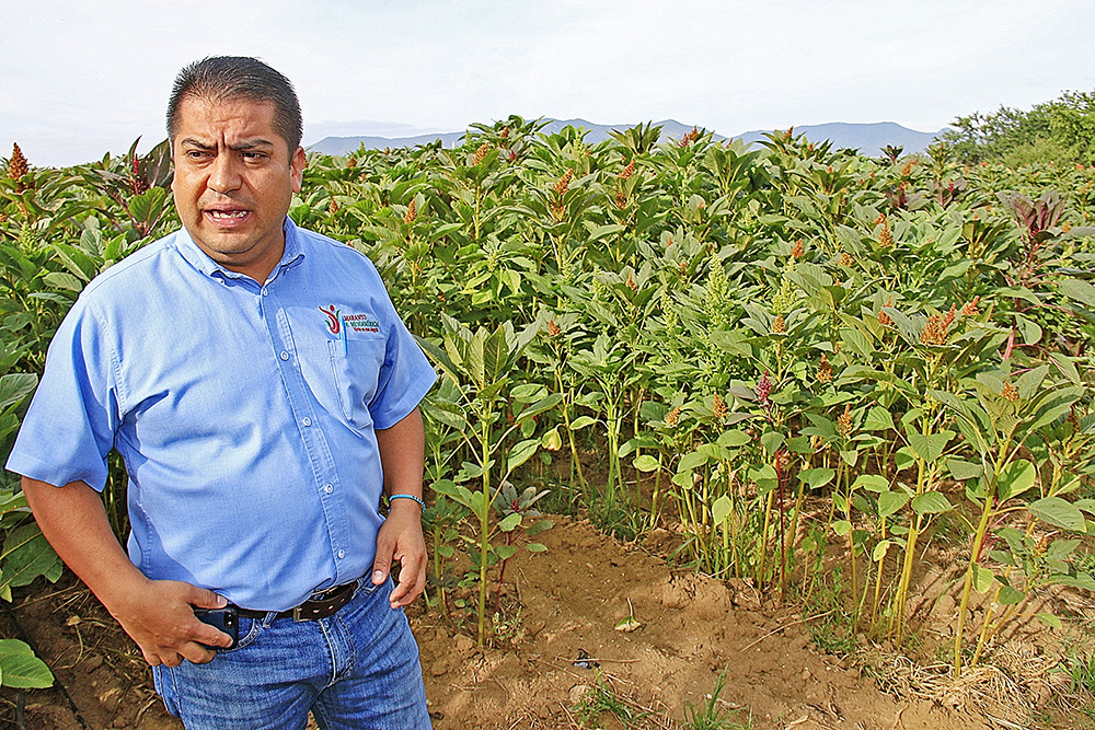 Mario Jiménez Leyva