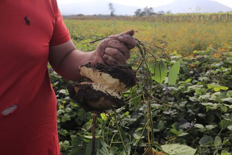 Emilio Morales