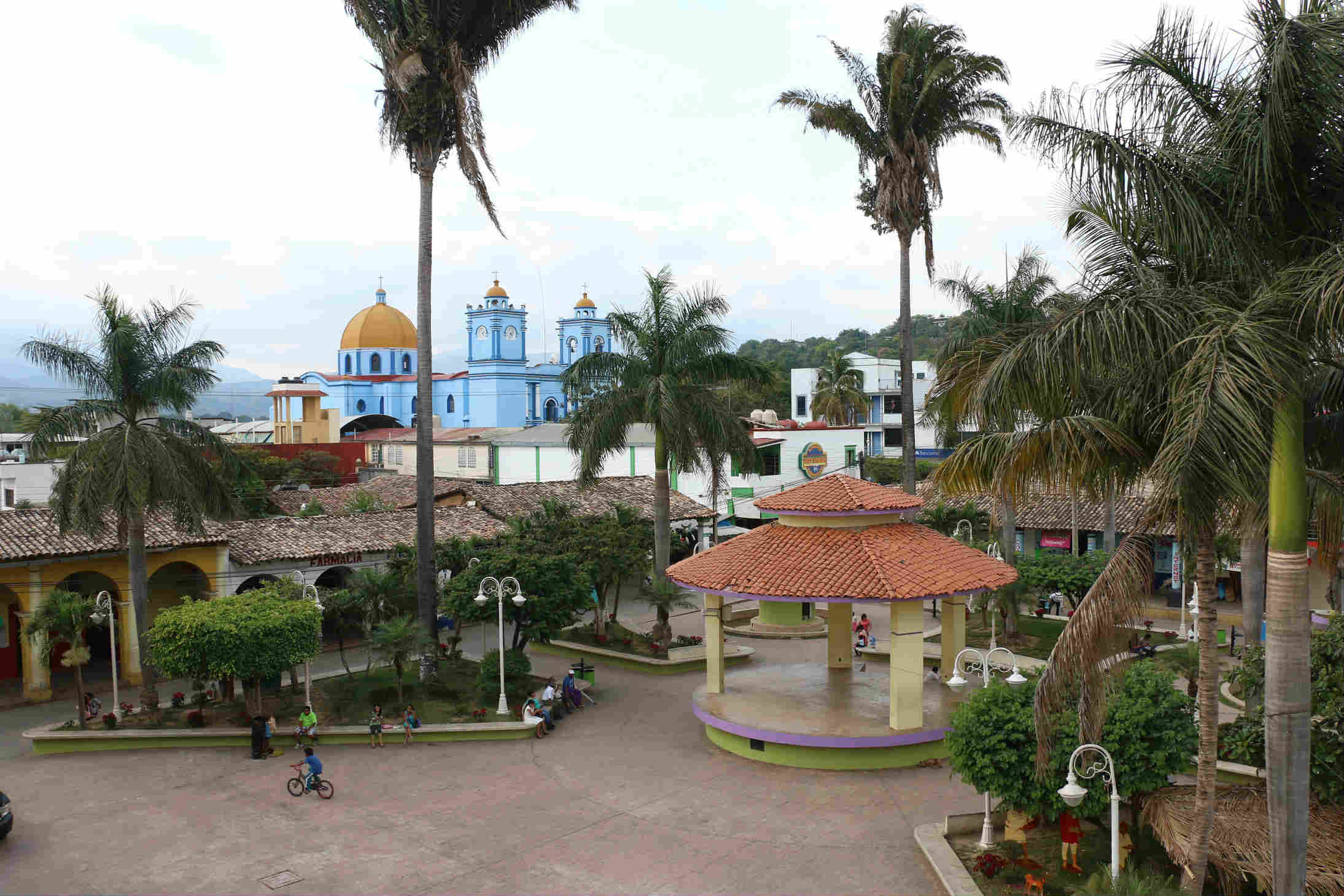 Carlos Javier Jarquín 