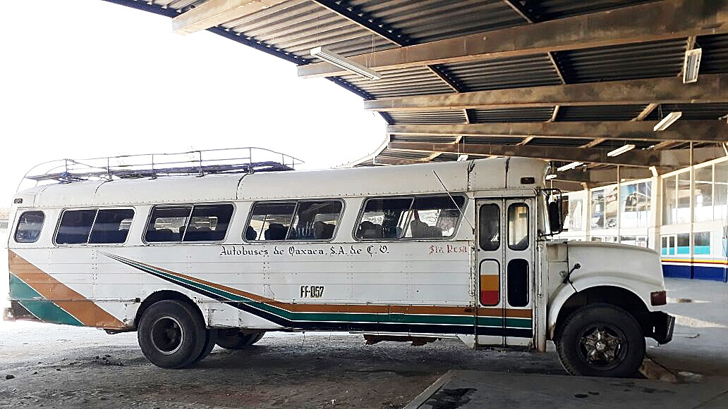 Terminal de segunda clase de Oaxaca, se niega a morir | NVI Noticias