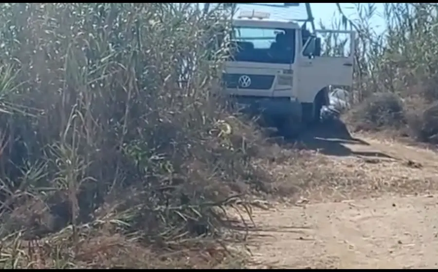 El hallazgo se hizo a las ocho de la mañana entre unos carrizales en el puente ubicado en la colonia Los Puentes, en los límites de Santa Cruz Xoxocotlán y San Agustín de las Juntas.