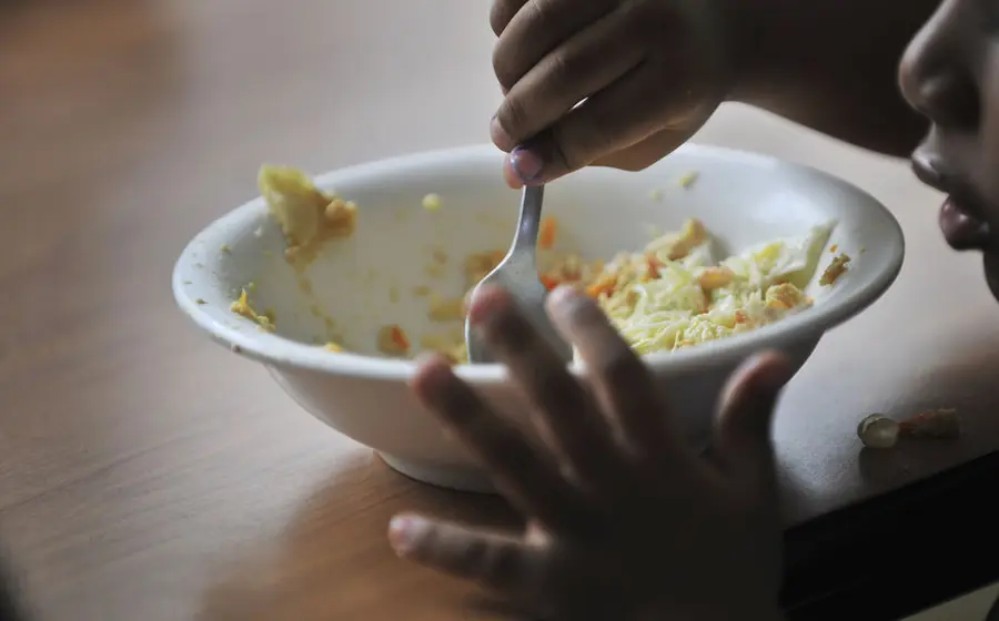 alimentación 