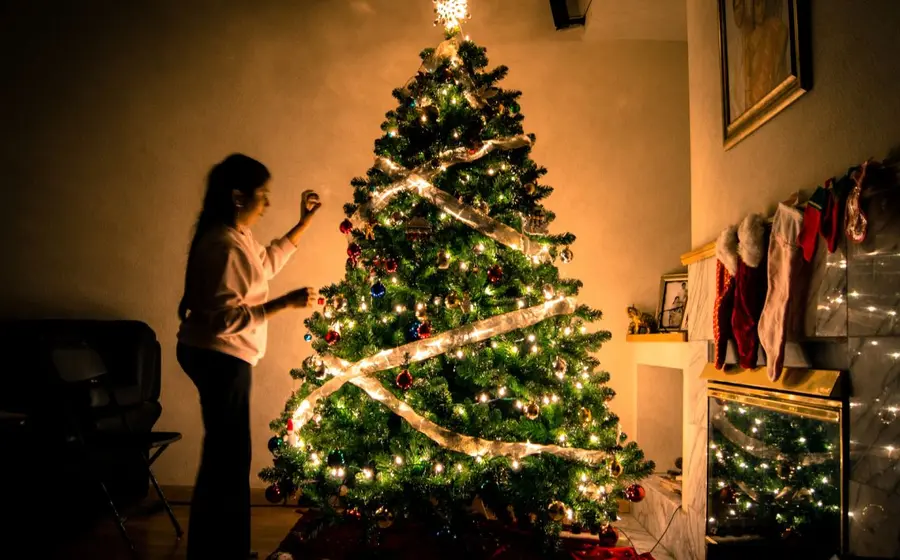 Si eliges adquirir un árbol de navidad artificial es necesario que lo uses al menos 20 años para reducir la contaminación al momento de desecharlo. 
