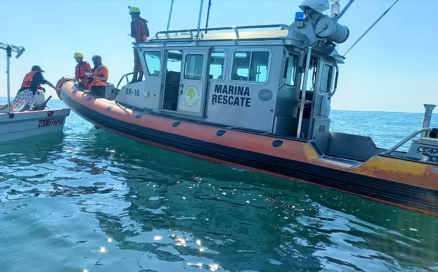 Rescate de ballena