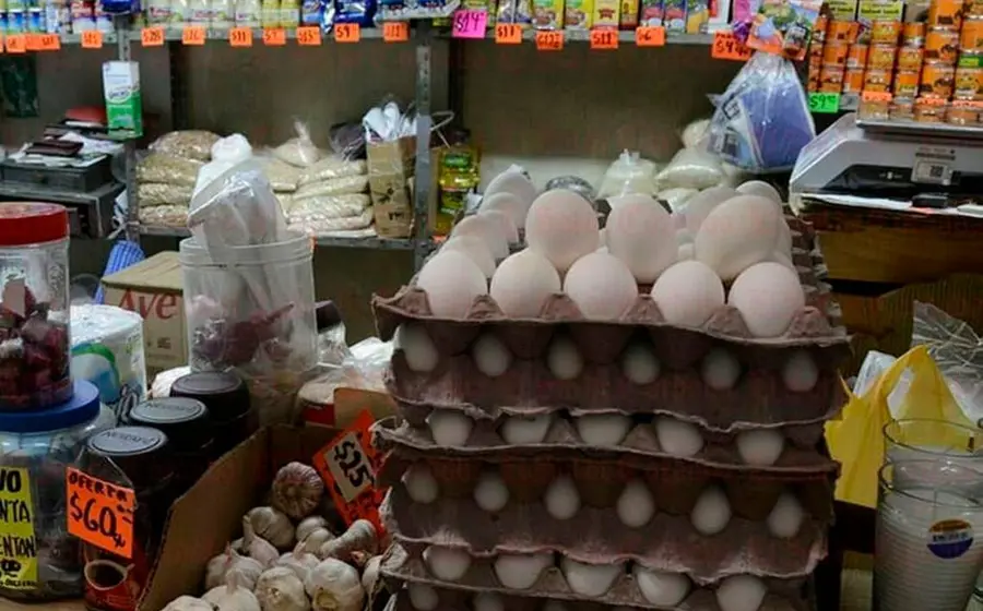 Cono de huevos, latas y abarrotes