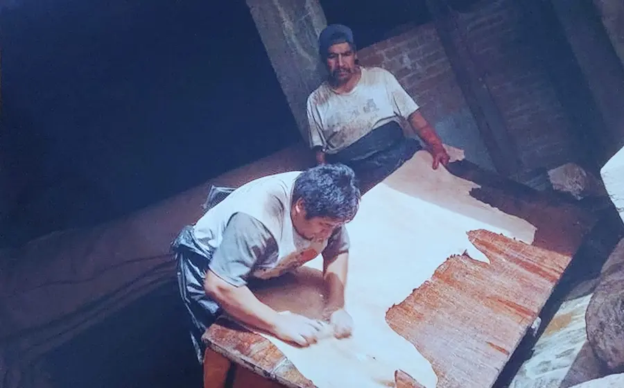 Curtidores oaxaqueños