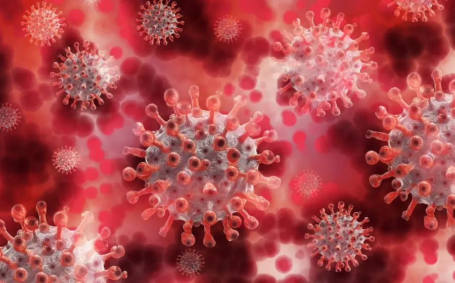 Ómicron pandemia mundo 