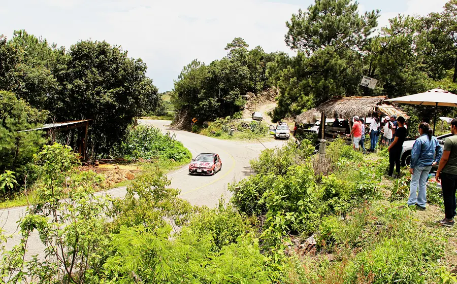 Rally