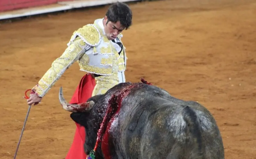 Tauromaquia