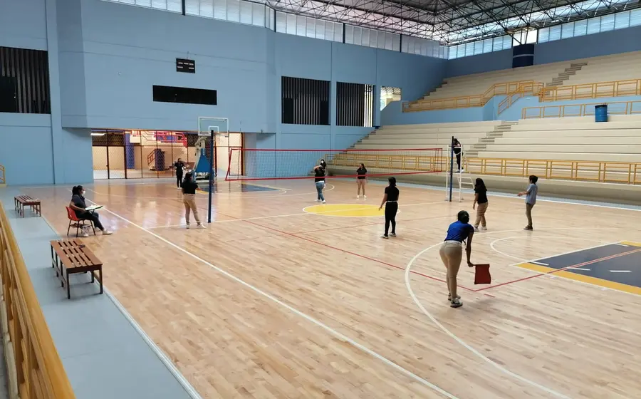 voleibol 