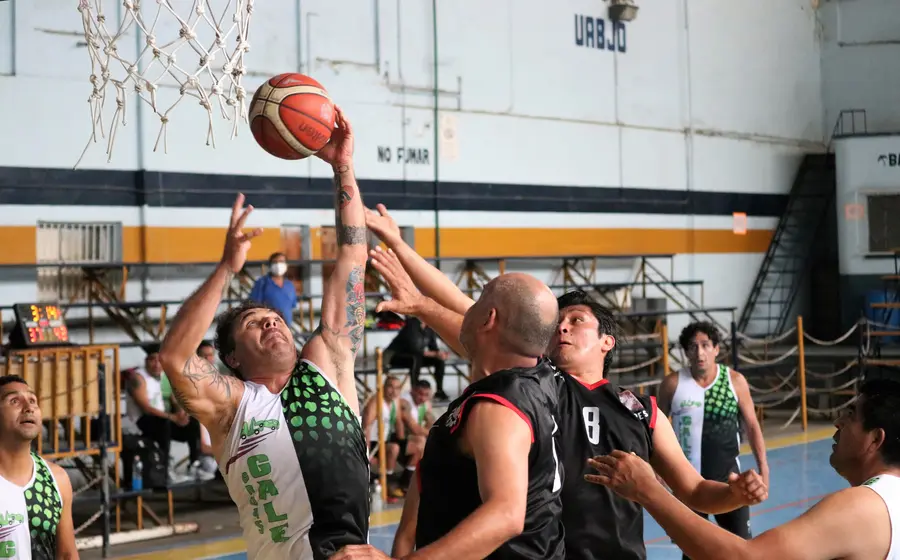Liga Universitaria de Basquetbol