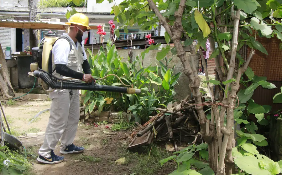 Personal con químicos contra el dengue