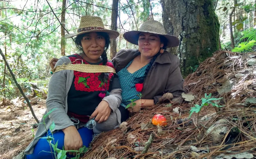 defensora Irma Galindo