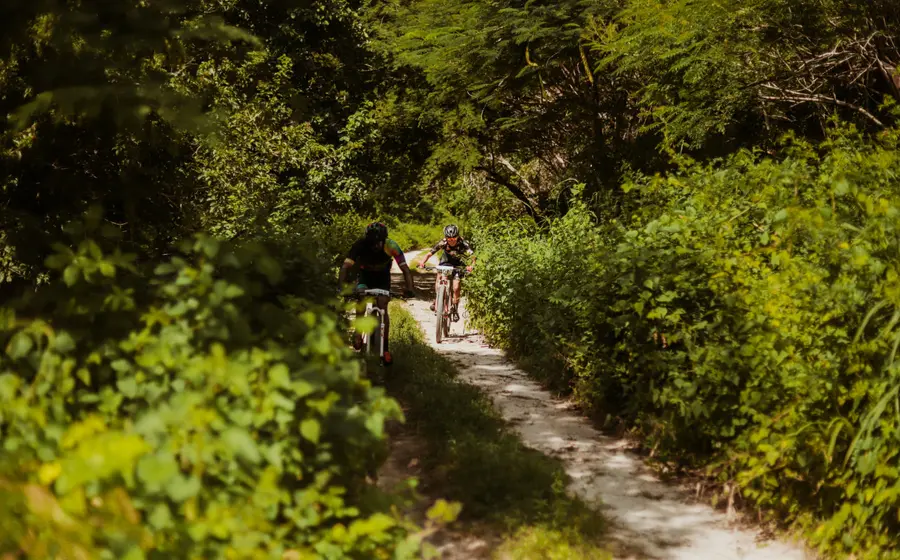 Ciclistas