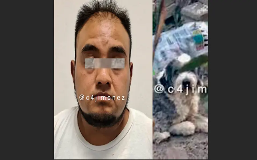  El padrastro fue detenido como sospechoso de violación al igual que el can.