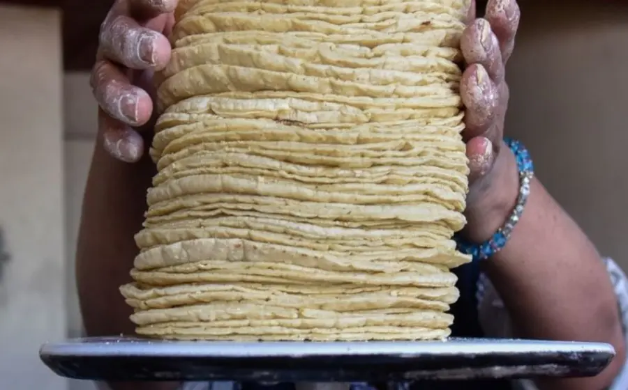 El incremento en la tortilla se presentaría por los ajustes de las harineras a nivel mundial, además de la inflación que se vive en los precios en nuestro país.