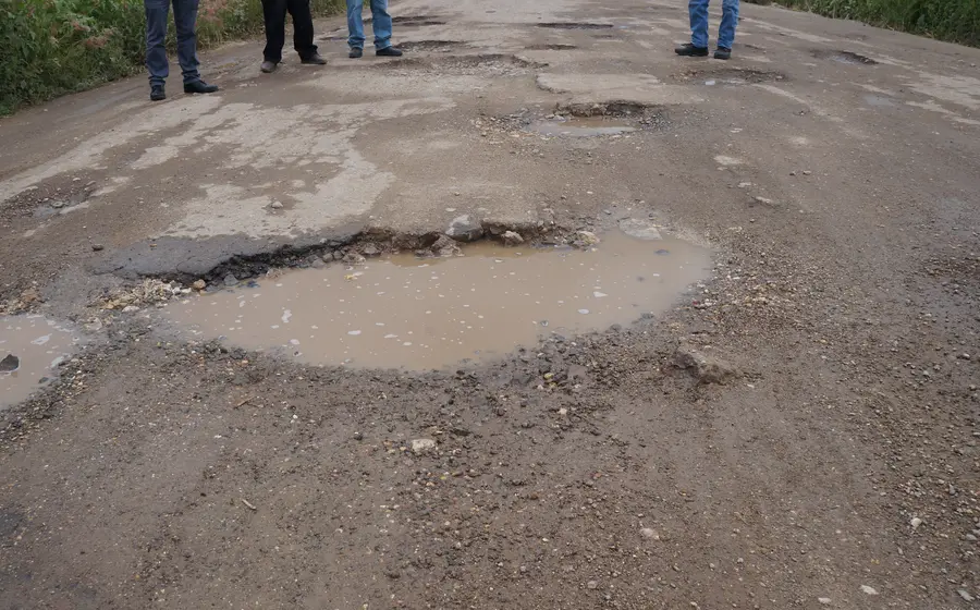 bache