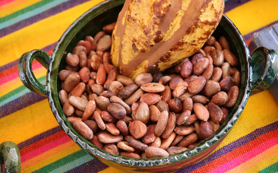Cacao de Tuxtepec