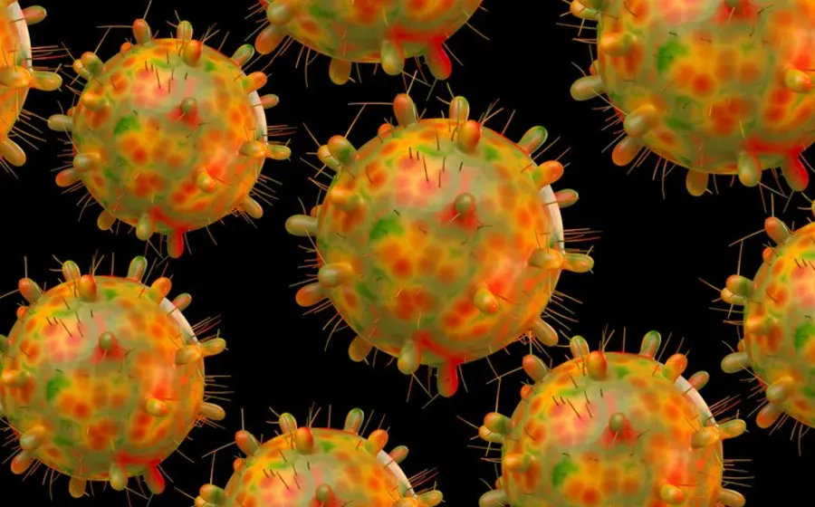 pandemia covid Ómnicron