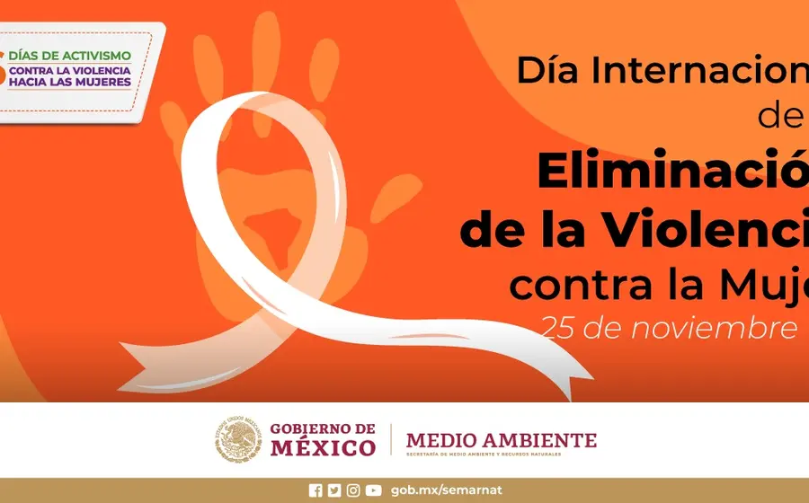 El Día Internacional para la Eliminación de la Violencia contra la Mujer se conmemora anualmente el 25 de noviembre.