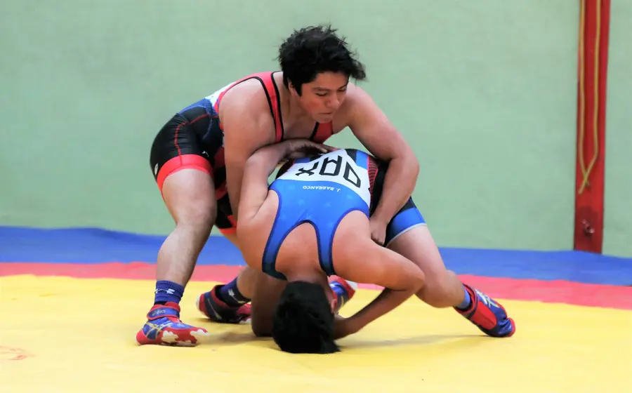 Lucha grecorromana