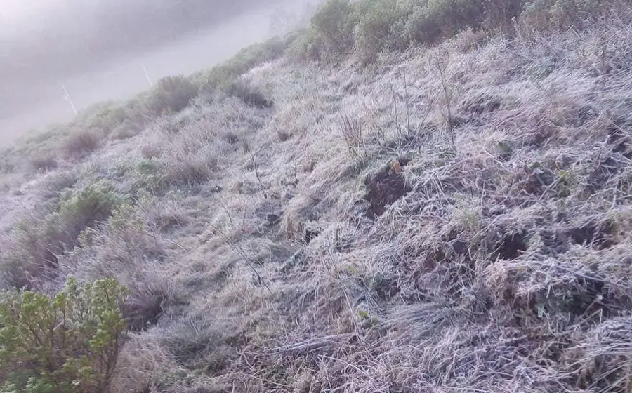 heladas
