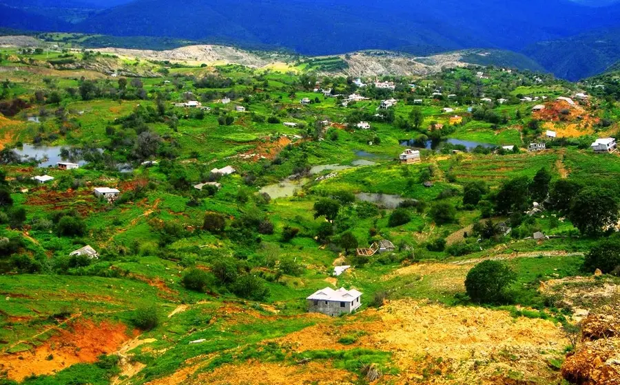 Campo en Mitlatongo