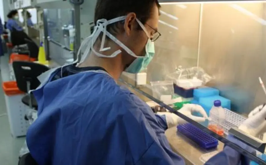 Se cree que la paciente se curó gracias a la combinación de diferentes mecanismos en el sistema inmunológico.