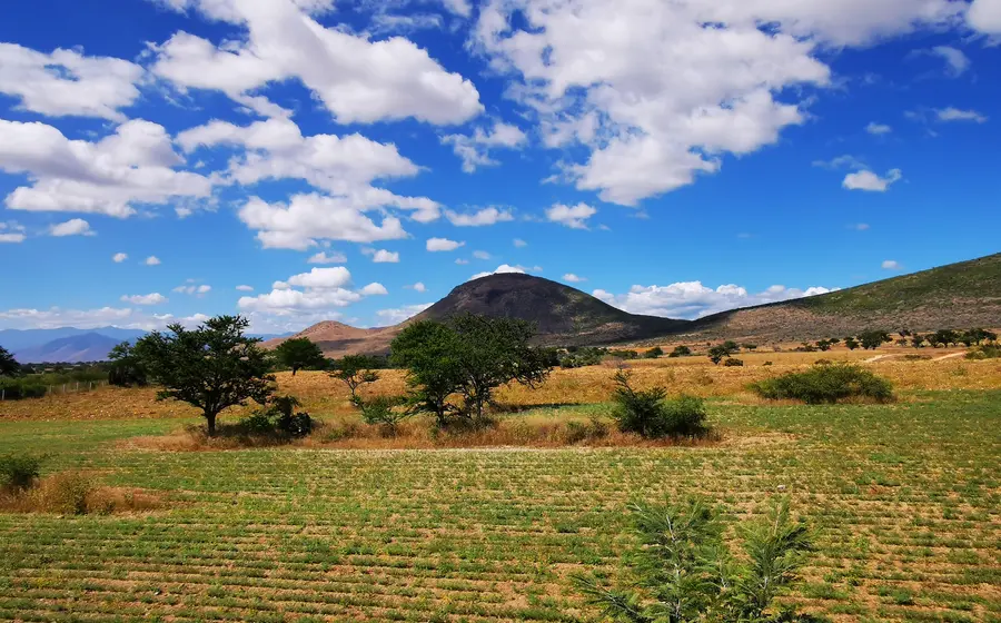 Campo y cielo azul con nubes