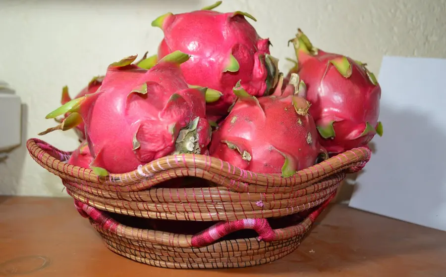 Pitahaya