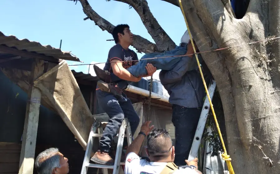 Una persona quedó prensada en un árbol en Santo Domingo Barrio Bajo, Etla.