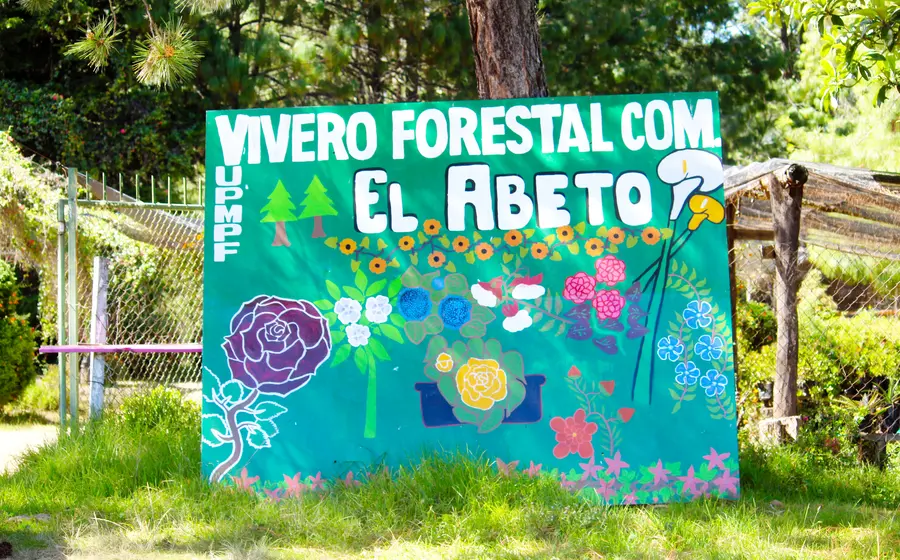 Vivero forestal El abeto