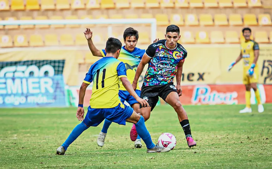 Alebrijes contra lobos