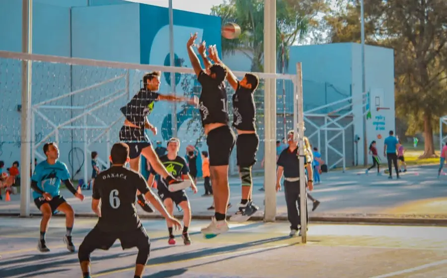 voleibol 