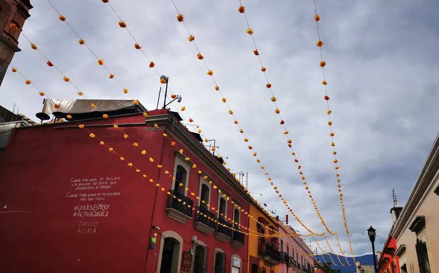 Flores de cempasúchil en Oaxaca
