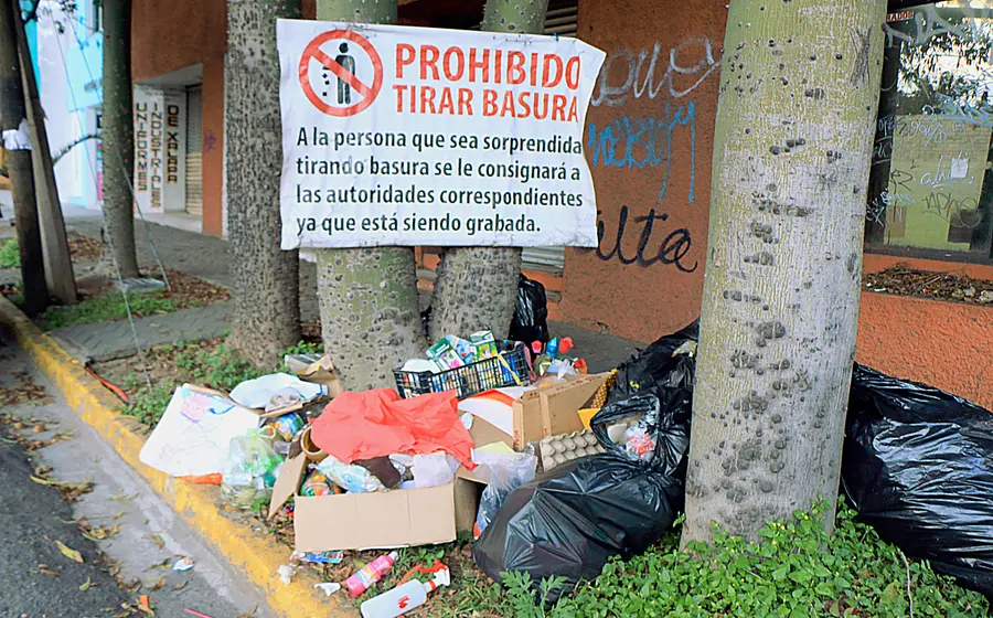 Bolsas de basura tirada en las calles