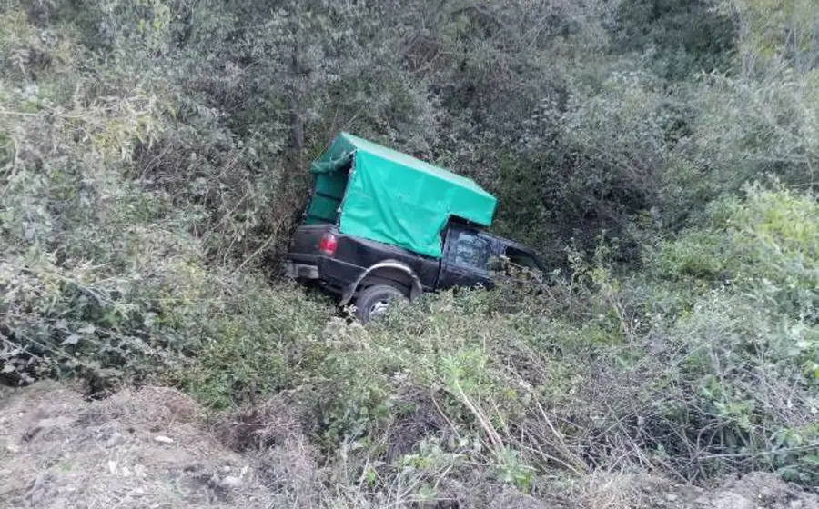 Camioneta entre la maleza