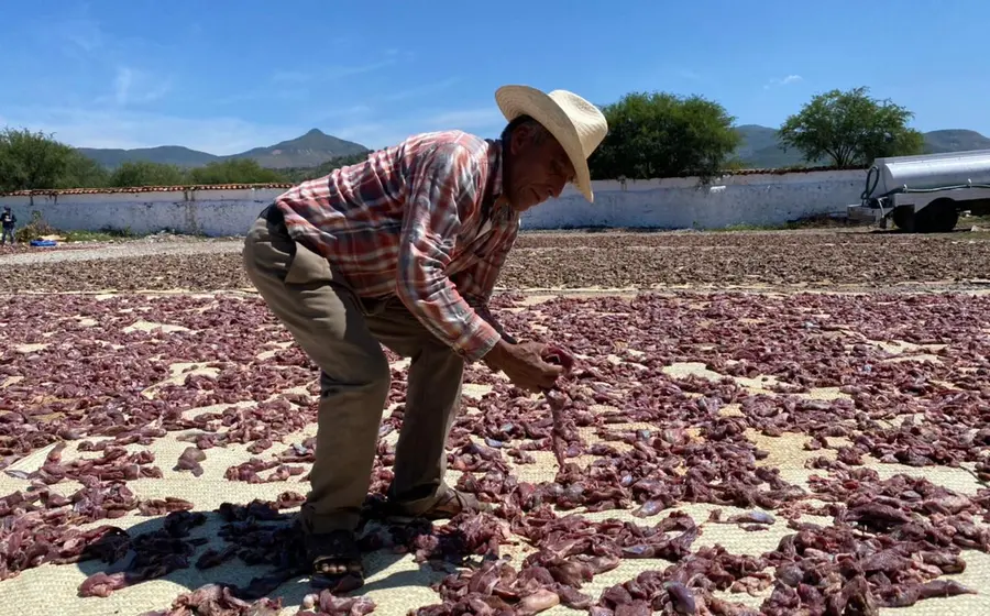 Chitero en la mixteca
