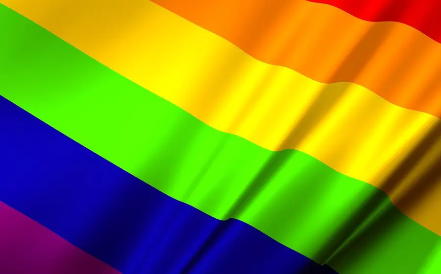 Comunidad LGBT con bandera