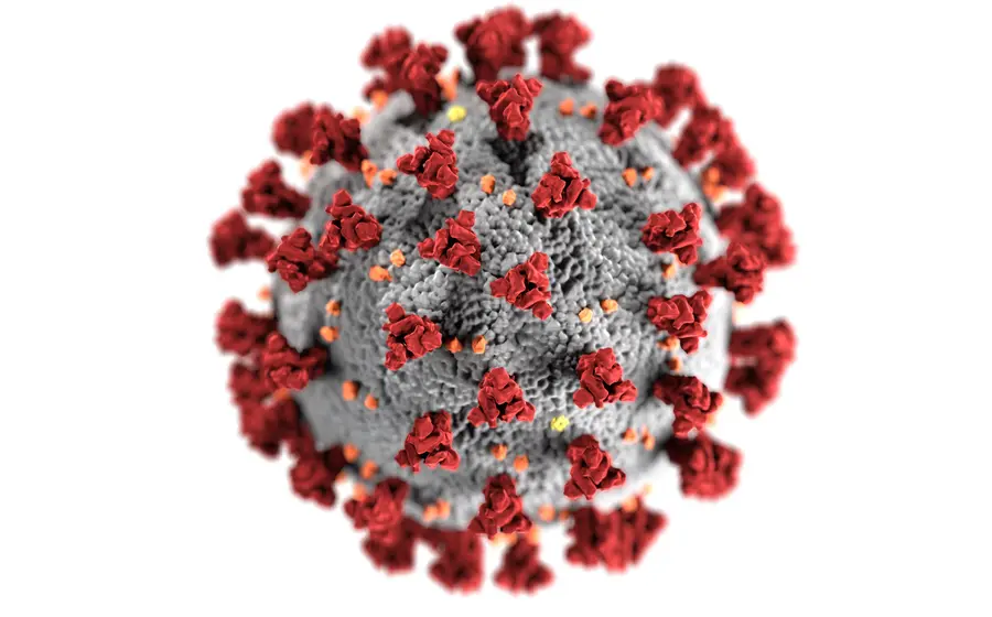 Virus causante de la COVID-19
