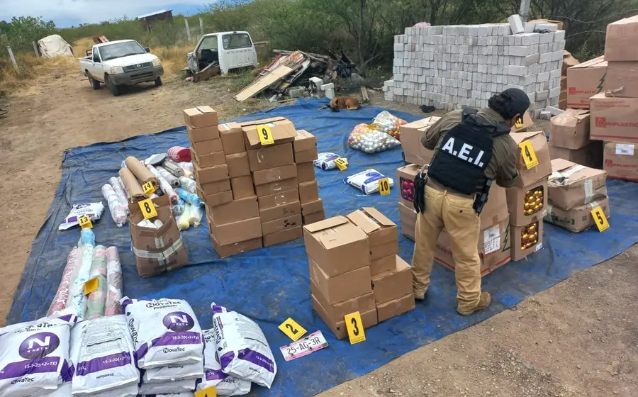 Decomiso de droga por AEI
