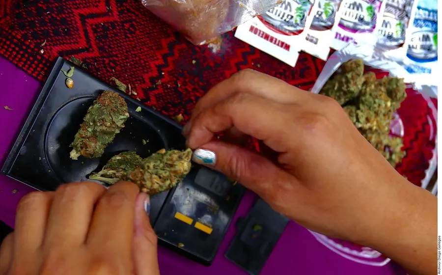 mariguana drogas 