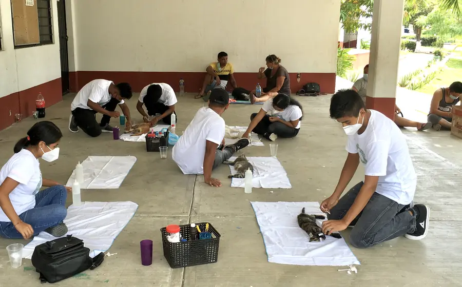 Mascotas esterilizadas 