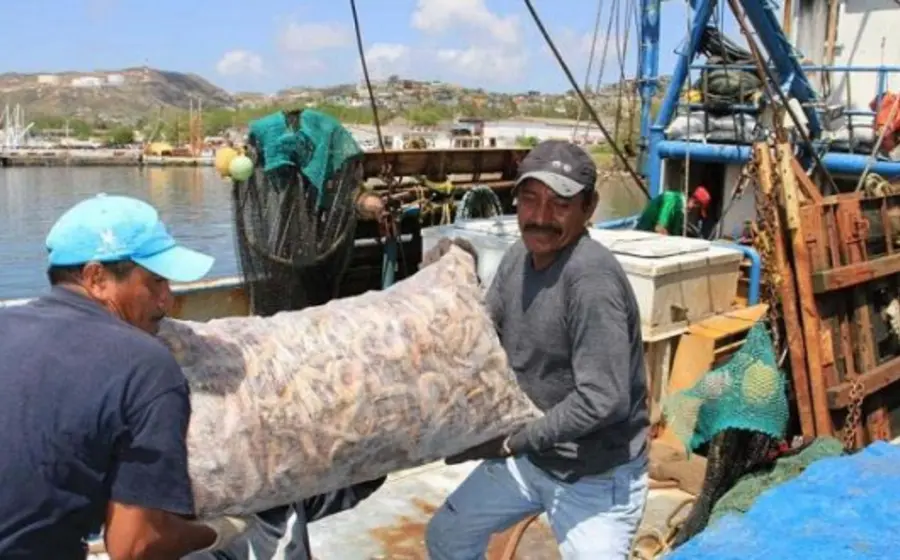 Pesqueros con bolsa llena de camarón