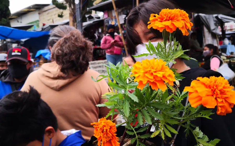 Niña cargando flores de cempasúchil