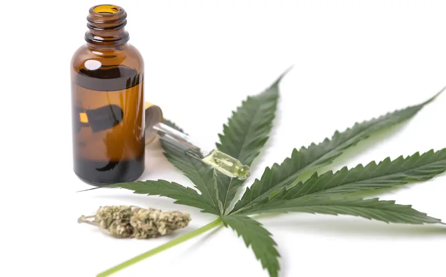 Cannabis