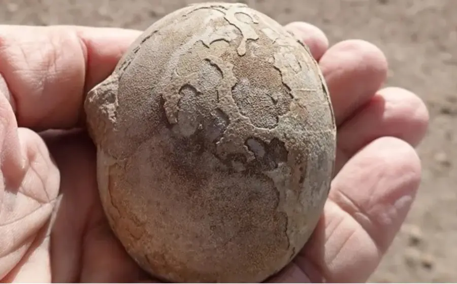En total fueron hallados más de 100 huevos fosilizados y fósiles de hace 192 millones de años de 69 dinosaurios de todas las edades, desde embriones hasta adultos.