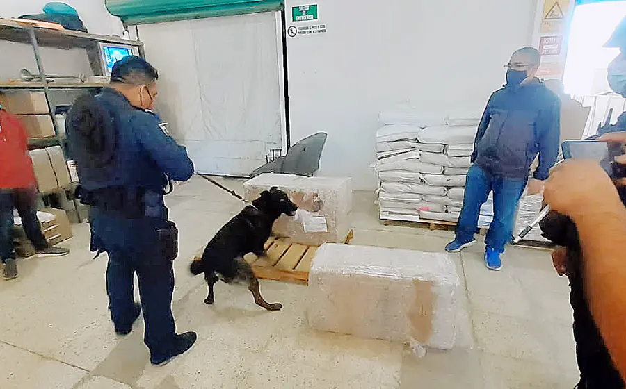 mariguana paquetería 