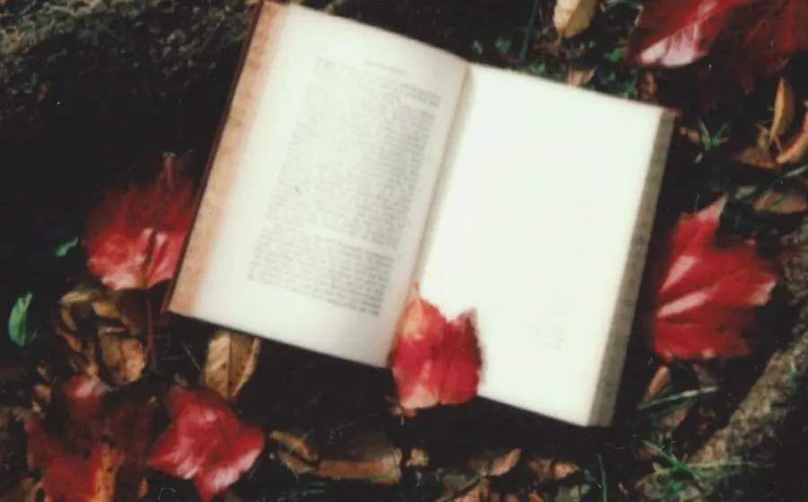 Libro sobre tronco con hojas de otoño